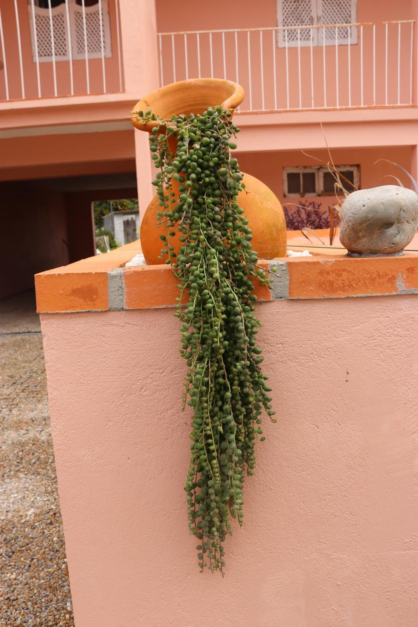 Casa Do Avo Gil Villa Сейшо Екстериор снимка